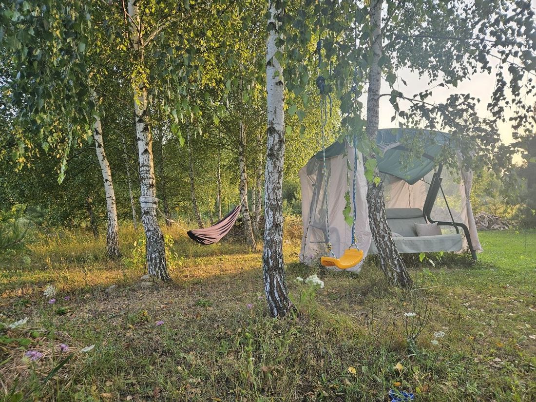 Гамак, качели и шезлонг под берёзами